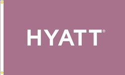 Hyatt, Pink, Nylon Flag. Printed, Double Sided, Canvas Heading and Brass Grommets