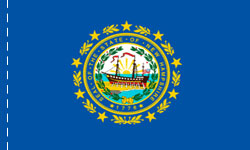 New Hampshire Indoor Flag Plain, No Fringe
