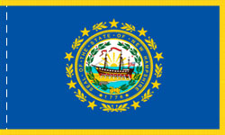 New Hampshire Indoor Flag Fringed
