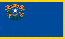 Nevada Indoor Flag Fringed