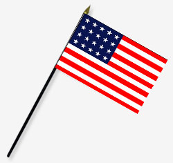 4 x 6 in. Rayon 20 Star American Flag. Mounted on 10 in. x 3/16 in. Dia. Black Plastic Staff with Go
