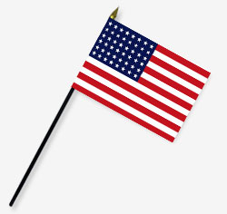 4 x 6 in. Rayon 48 Star American Flag. Mounted on 10 in. x 3/16 in. Dia. Black Plastic Staff with Go