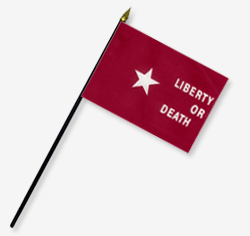 4 x 6 in. Rayon Morgan's Lone Star-1835 Flag. Mounted on 10 in. x 3/16 in. Dia. Black Plastic Staff