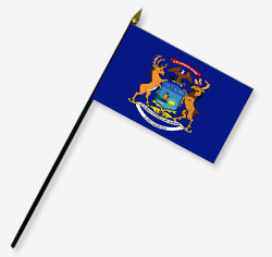 Michigan Stick Flag