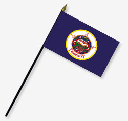 Minnesota Stick Flag