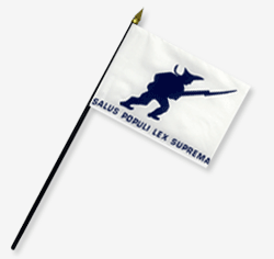 4 x 6 in. Rayon Patriots-1812 Flag (FL). Mounted on 10 in. x 3/16 in. Dia. Black Plastic Staff with