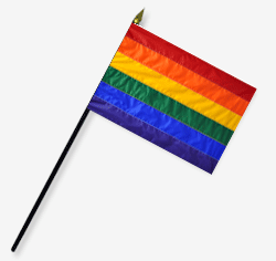 Handheld Rainbow Flags