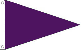 3 x 5 ft. Nylon Purple Air Quality Flag, "Very Unhealthy" Air Quality, Pennant with Heading and Grom