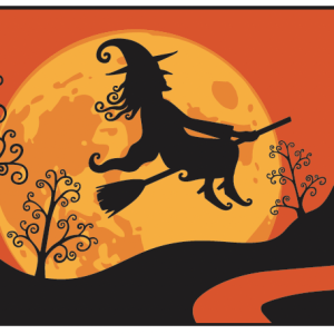 3 x 5 ft. Nylon Witch, Printed, Canvas Heading and Brass Grommets