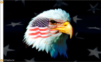 3 x 5 ft. Nylon Patriotic Eagle Flag, Printed, Canvas Heading and Brass Grommets