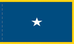 1 Star Brigadier General Air Force Indoor Fringed Flags