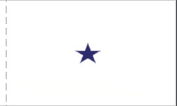 1 Star Commodore Navy (Non-Seagoing) Indoor Plain, No Fringe Flags