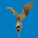 Gold Metal Eagles