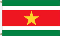 Suriname (UN, OAS)